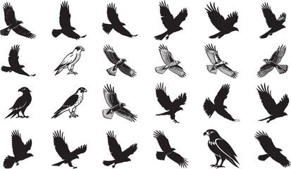 Falcon Silhouette Art Set – Flying Bird of Prey Vector Icons, Predator Bird Outline, Wildlife Design