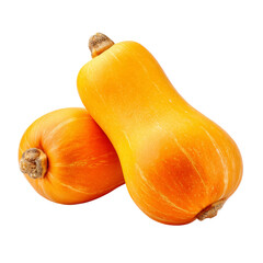 Two fresh butternut squash isolated, perfect for seasonal recipes