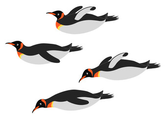 Obraz premium 滑ったり泳ぐオウサマペンギンのイラストのセット 