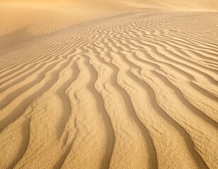 little ripples of pale sand yellow sand dune desert and beach pattern close up shot of nature summer close up shot of sand texture