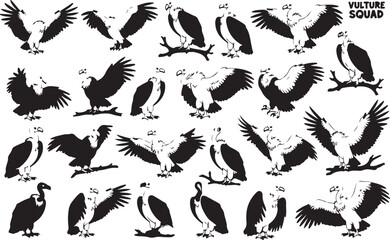 Obraz premium Graphic collection of vulture illustrations in various poses perfect for design projects and branding
