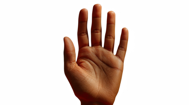 Isolated close-up shot showcasing an open dark-skinned human hand, displaying fingers in neutral position, on transparent background