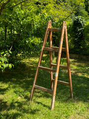 Old Wooden Step Ladder in a Sunny Garden – Rustic DIY and Gardening Concept