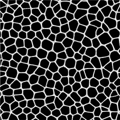 Abstract black background with organic white cell structure pattern covering the entire surface area