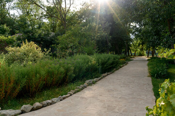 stone path surrounded by greenery and trees.