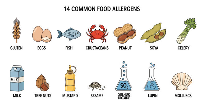 Illustration depicting fourteen common food allergens including gluten, eggs, fish, crustaceans, peanut, soya, celery, milk, tree nuts, mustard, sesame, sulf...