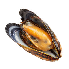 Mussel halves open, showing flesh