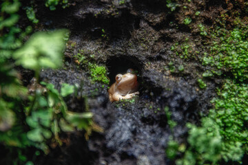 なかがわ水遊園

