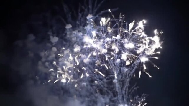 Celebration Night Sparkling Fireworks Display