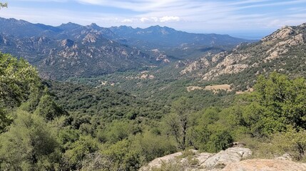 Obraz premium Mountain valley vista, lush greenery, rocky peaks
