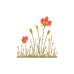 spring flowers and grass