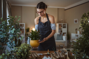 woman gardener hold potted plant and take care grow cultivate plants