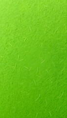 Green felt fabric close-up. Abstract background. The texture of the fibers. Velvet surface, flat design. White tone