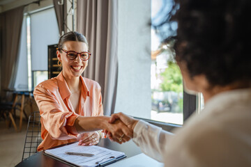 a professional financial adviser shaking hands with her client
