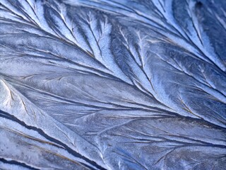 abstract macro background close-up 
