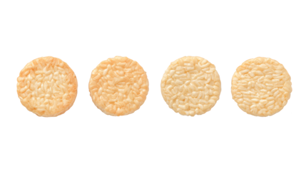 A journey into the human brain, exploring the complex network of neurons and pathways