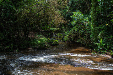 Canto das Cachoeiras - Cunha - São Paulo