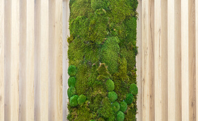 Vertical garden green plant moss on wooden wall on street outside