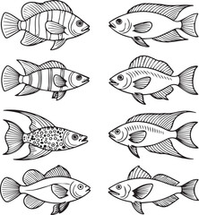 Fototapeta premium Diverse Fish Species Line Art Set