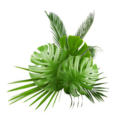 Bright tropical leaves of different plants on white background