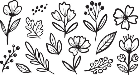 Fototapeta premium Collection of hand drawn floral elements and leaves isolated on transparent background