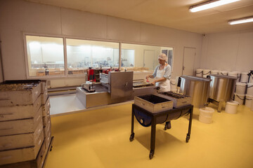 Woman handling product trays on stainless steel conveyor in food processing room, copy space