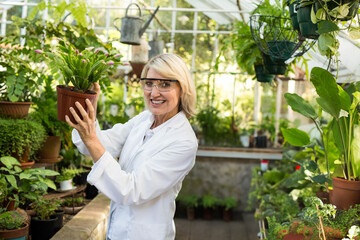 Woman horticulturist wearing lab coat, safety glasses handling potted flowering plant in greenhouse