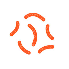 Bacillus subtilis bacterial vector