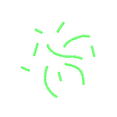 diplobacillus bacteria