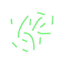 diplobacillus bacteria