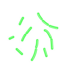 diplobacillus bacteria