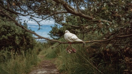 Serene Meadow Path with Paper Dove Decoration