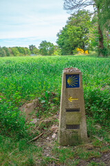 Conmovedora fotografía tomada en el Camino de Santiago en Galicia, España.