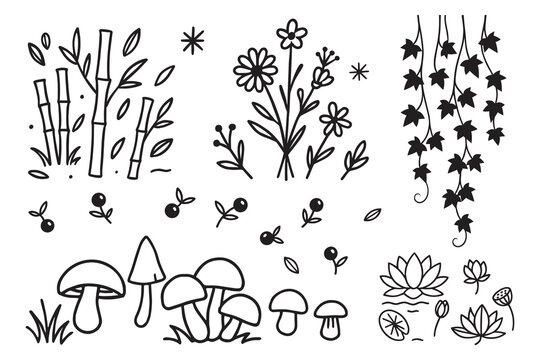 Hand Drawn Nature Line Art Set &ndash; Bamboo, Mushrooms, Flowers, and Lotus Elements
