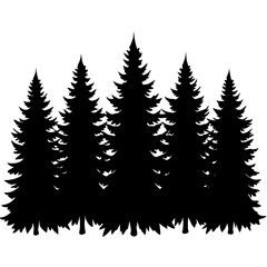 Fototapeta premium Silhouette of a group of evergreen pine trees in a forest