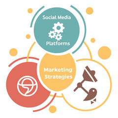 Marketing Strategies Social Media Platforms Infographic strategy business