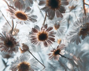Floral Reflection Through Water, Floral Reflection Through Water, Floral Reflection Through Water
