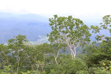 白馬 小遠見山の風景。