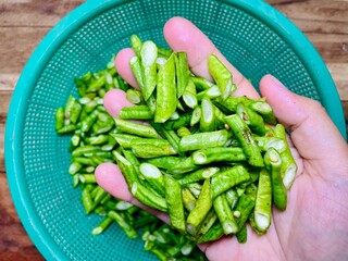 close-up of sliced long beans being held by someone with a background of sliced long beans in a green basin isolated on a wooden table
