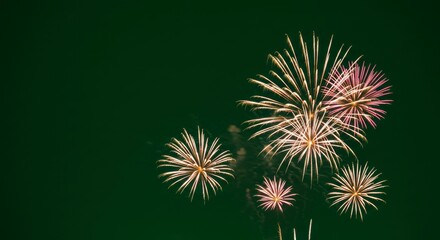Obraz premium Fireworks display in dark night