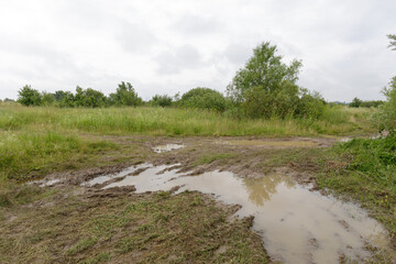 Dirt road in a rural field covered with muddy tire tracks and large puddles after rainfall,...