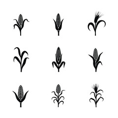 Collection of Corn Plant Vector Illustrations in Black Style for Organic and Natural Food Themes