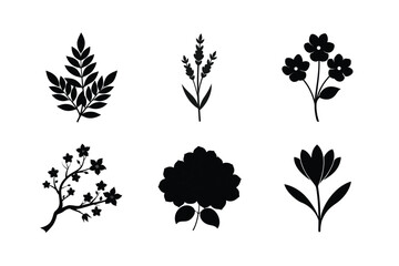 Collection of six black silhouettes of flowers and leaves on a white background
