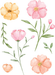 Set of hand painted watercolor floral elements with delicate pink and yellow flowers, leaves, and buds isolated on a white background.