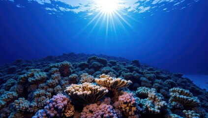 Naklejka premium Sunlit Coral Reef Seascape: Underwater Paradise, Ideal for Travel, Nature, and Ocean-Themed Designs