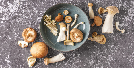 Bowl with different fresh mushrooms on grunge background