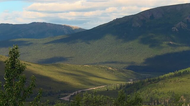 Forested valley and gravel park road amid rolling Alaska Range mountains in Denali National Park, USA