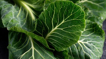 Close-up of Fresh Green Collard Greens