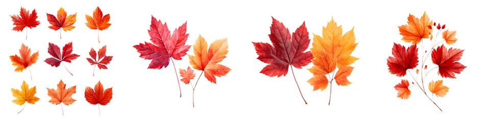 Fototapeta premium Watercolor Autumn Leaves Isolated on White Background: Fall Foliage Collection