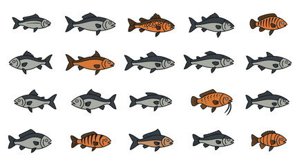 Variety of Fish Illustrations
